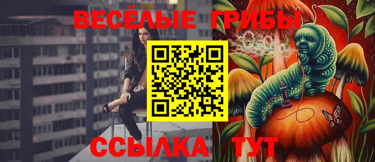 Псилоцибиновые грибы Psilocybine cubensis  Вход с VPN  Минеральные Воды 